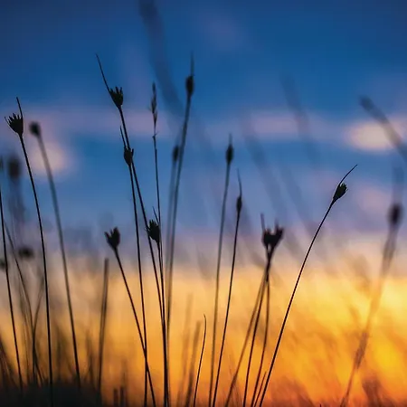 Amazing In With Wifi Lägenhet Privlaka (Zadar)