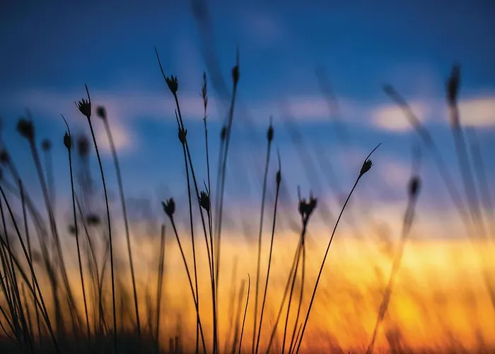 Amazing In With Wifi Lägenhet Privlaka (Zadar)